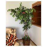 Faux Ficas with lights, 79" tall