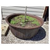 Cast Iron Hog Kettle, 37 1/2" diameter x 16ï¿½