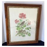 Vintage "Song Sparrow & Young with Geraniums",