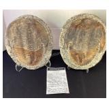 2 Trilobite fossils on stands, heavy