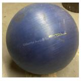 Stayball by Golds Gym, 24' diameter