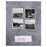 Animals in the Field