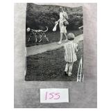 Dalmatian Days 1960ï¿½s-70