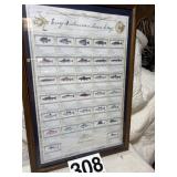 Anglers Legacy photo of various fish  27ï¿½ x 39ï¿½