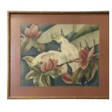 Two Vintage Paintings of Tropical Birds
