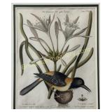 Yellow and Black Pye, Catesby & Seligmann