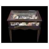 Vitrine Filled with Curiosities