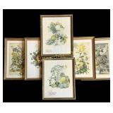Group Assorted Floral Prints