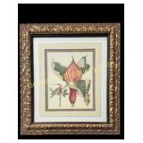 Pair Decorative Botanical Prints