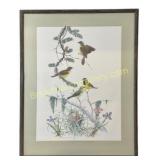 Kirtland and Bachman Warblers, Robin Hill