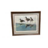 Framed Print of Canada Geese by James Moss