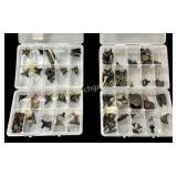 Shark Tooth Collection III