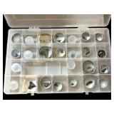 Shark Tooth Collection I