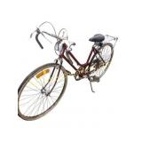 Schwinn Bicycle with 32-Inch Seat Height