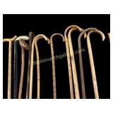 Collected Walking Canes