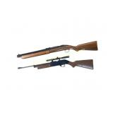 Sheridan .20 and Crosman 760 Pumpmaster Air Rifles