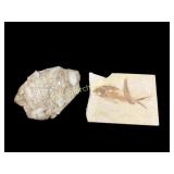 Quartz Crystal, Fish Fossil