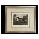 Framed Equestrian Print
