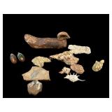 Shells, Oddities Fossil Stones