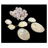 Group Found Aquatic Specimens