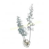 Metal Sculpture With Organic Base Design