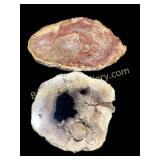 Petrified Wood