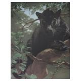 Peter Skirka Signed Limited Edition