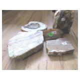 Polished petrified wood slice, Crazy Lace agate