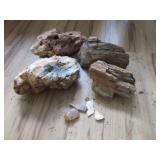 Petrified wood chunks