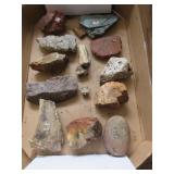 Lot rocks: petrified wood, red jasper, granite,
