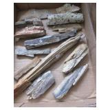 Long petrified wood pieces, coral fossil, polished