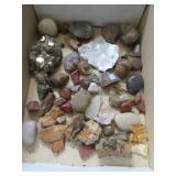 Pyrite, shell, petrified wood, small tumbled rocks