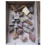 Lot rock specimens small palm sized: petrified