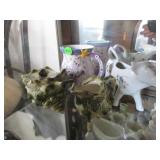 Seashell form creamer and sugar, Queen for A Day