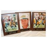 3 Brett Favre Plaques: 10.5x13"