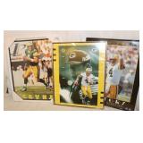3 Framed 16x20" Brett Favre Prints: