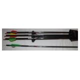 3) 20' Wicked Ridge XX75 Aluminum Crossbow, Bolts