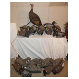 6 Male & 5 Female Mallard Duck & 1 Turkey Decoys &