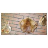 3 Pelt Heads: Raccoon, Beaver & Coyote