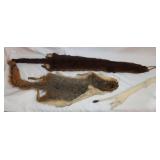 15' Ermine Pelt, Squirrel, & Marmot