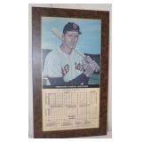 Theodore Williams Hall of Fame Baseball Plaque;