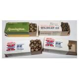 80 Rounds Remington & Winchester .22 LR