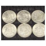 Morgan Silver Dollar Coins -1921 (6)