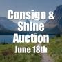 Consign & Shine Auction