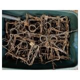Tote of Conibear Traps