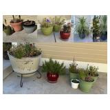 Plants & Planters