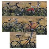 Bicycle Bundle #1