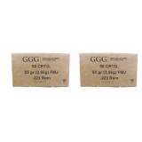 100 rds | 223 Rem 55 gr FMJ Ammo GGG