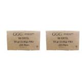 100 rds | 223 Rem 55 gr FMJ Ammo GGG
