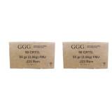 100 rds | 223 Rem 55 gr FMJ Ammo GGG